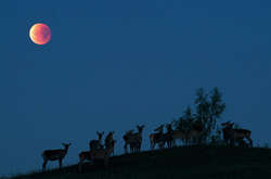 Жители Земли увидят редкостное «кровавое суперлуние»