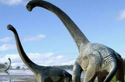 Знайшовся раніше невідомий вид динозаврів