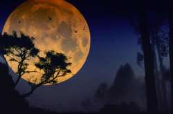 NASA опубликовало прямую трансляцию редчайшего лунного затмения