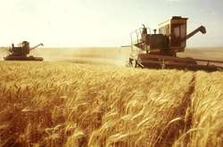 За 2017 рік в Україні зменшився урожай зернових