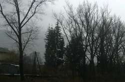 Метеорологи очікують на Закарпатті різкі коливання температур і паводок 