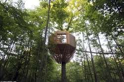 Во Франции открыли отель на столетних деревьях (фото)