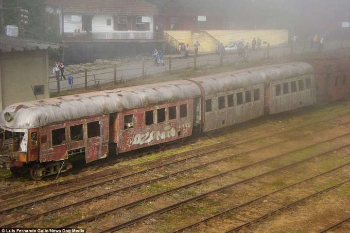 Свідок епохи. Постапокаліптичні фото покинутої залізничної станції в джунглях Бразилії