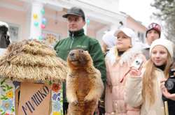 Український бабак Мишко&nbsp;