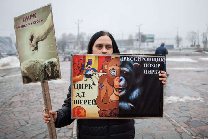 Зоозахисники Дніпра вимагають прибрати тварин з цирків