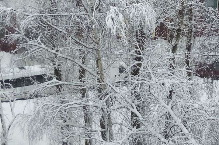 Через сильний снігопад у Москві загинула людина