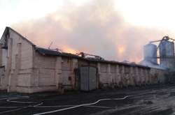 На Миколаївщині горить маслозавод