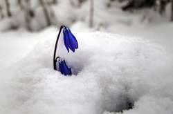 320 населених пунктів у Білорусі залишилися без світла