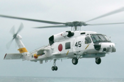В Японії військовий вертоліт впав біля школи