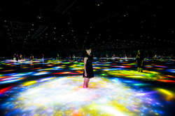 В Токио откроют музей цифрового искусства