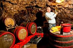  Винороб Юрій Параска із Закарпаття&nbsp; 