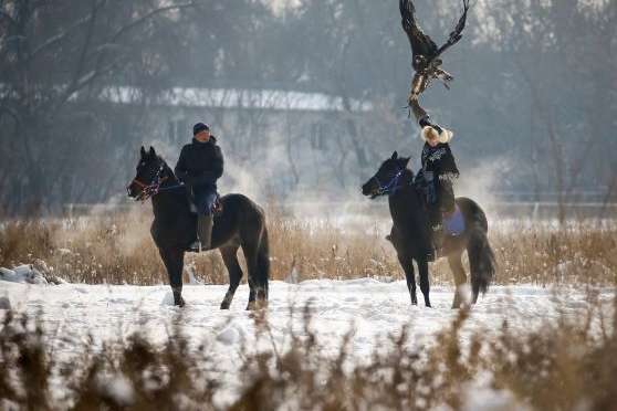 Лучшие казахские беркутчи собрались на охоту: появились красочные фото 
