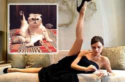 Знаменитая растяжка Виктории  Бекхем 