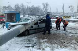 В Виннице упавший столб раздавил автомобиль