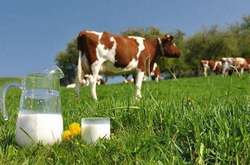 Уряд виділить понад 6 млрд для підтримки аграріїв