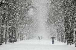 В Японії через снігопади загинули семеро людей