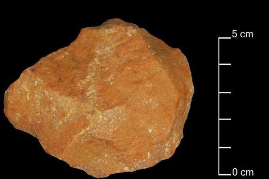 Кам'яні знахідки спонукають переглянути історію еволюції