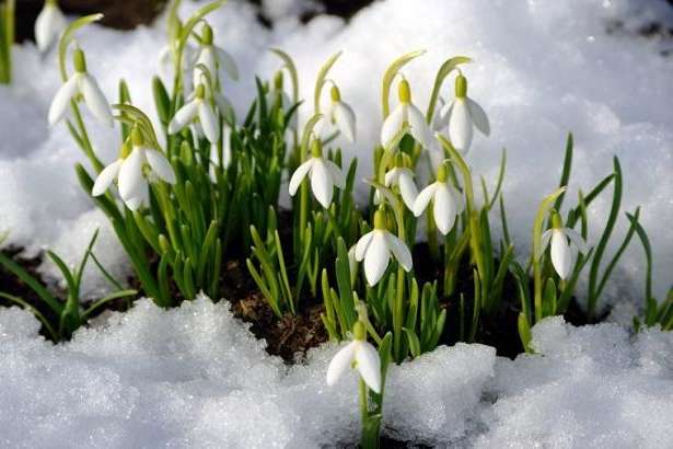 Какой будет весна в Украине: прогноз погоды