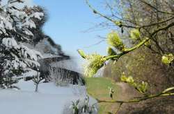 Сретение Господне: приметы и традиции 