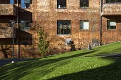 Дерев’яні ЖК: як у Швеції зводять екологічне житло з відновлювальних матеріалів