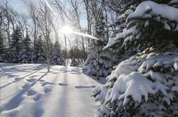 Погода у найближчі дні кардинально не зміниться