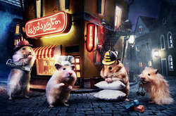 Дизайнеры построили милый городок для живых хомяков