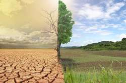 Зміна клімату Землі провокує нові конфлікти – ООН