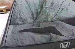 Суд взяв під цілодобовий домашній арешт одесита, який трощив машини під Солом'янським судом