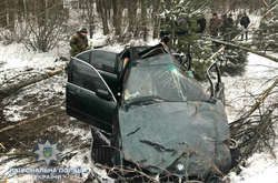 На Ривненщине разбилось BMW, погибли два брата