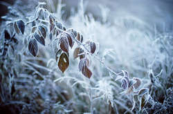 Синоптик розповіла, які області першими відчують похолодання