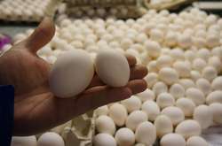 Українська агрофірма отримала право експорту в ЄС