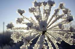 Сьогодні в Україні збережеться морозна погода 