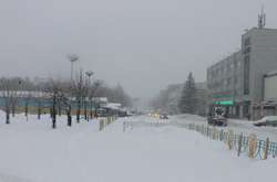 У Броварах рятувальники зняли з даху близнюків та їх батька 