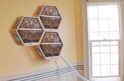 Вулик нового формату