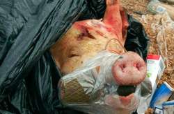 В Запорожье на улице нашли «взрывоопасную» свиную голову (фото)