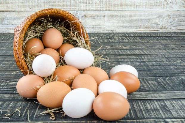 Поляки б’ють на сполох: Яйця українських виробників можуть «зруйнувати» їх ринок