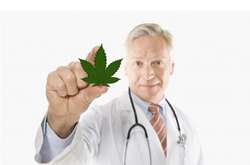 У Харкові анонсували міжнародну наукову конференцію з питань канабісу