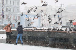 Кияни і снігопад: яскраві суботні світлини