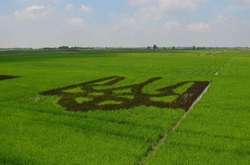 Рівно 100 років тому тризуб став державним гербом УНР