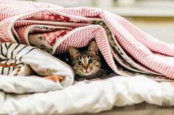 Рятувальники попередили українців про сильне похолодання