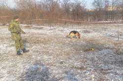 У Кривому Розі собака викопав тіло дитини