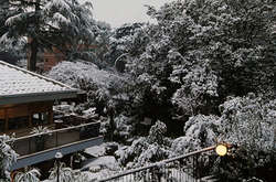 Аномальний холод в Італії: Рим засипало снігом