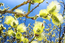 Когда в Украину придет весна