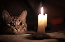 У частині окупованого Криму немає світла