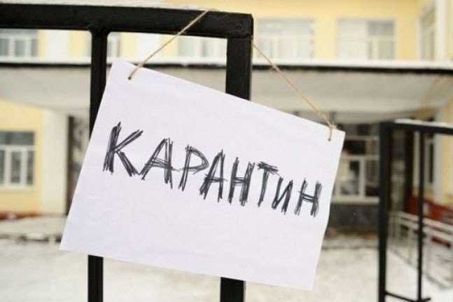 На Житомирщині 112 шкіл залишаються на карантині через грип