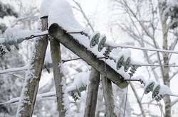 В Україні без світла залишилися 174 населених пункти в 10 областях 