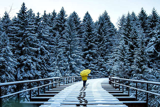 Чарівні світлини зимових пейзажів Європи, зроблені молодим німецьким фотографом