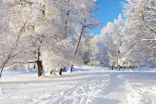 Прогноз погоди в Україні на 2 березня: холодно і сніжно