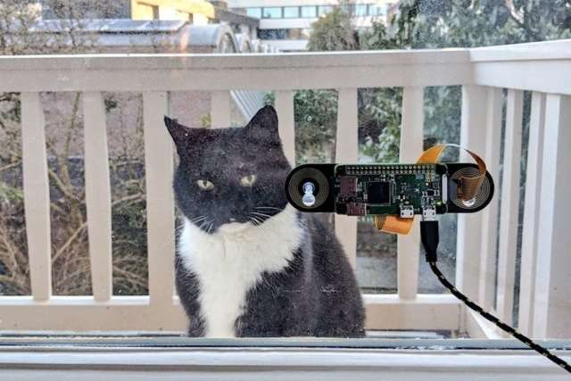 Кот Бобис - Голландец создал систему распознавания своего кота, чтобы пускать его в дом