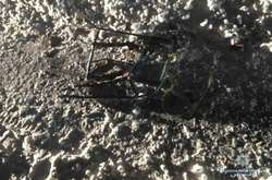 На Донеччині жінка на санках потрапила у ДТП